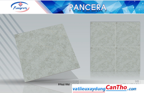 Pancera PP 6619